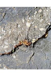 School Composition Book Cement Cracks