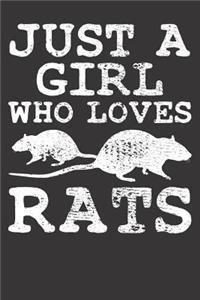 Rats Notebook