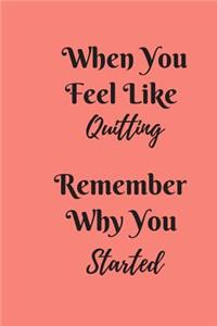 When You Feel Like Quitting Remember Why You Started