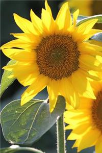 Sunflower Summer Journal