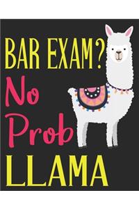 Bar Exam No Prob Llama