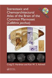 Stereotaxic and Chemoarchitectural Atlas of the Brain of the Common Marmoset (Callithrix Jacchus)