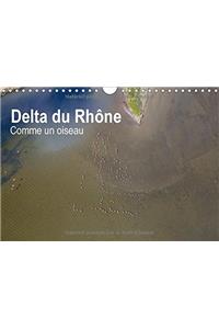 Delta du Rhône - Comme un oiseau 2018