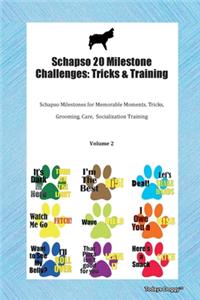 Schapso 20 Milestone Challenges