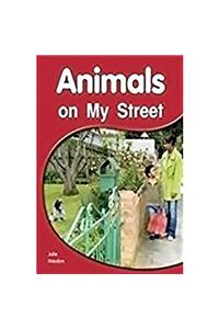 Animals on My Street Animals on My Street