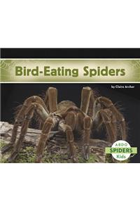 Bird-Eating Spiders