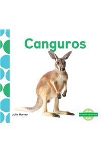 Canguros (Kangaroos) (Spanish Version)