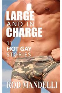 Large And In Charge 11 Hot Gay Stories
