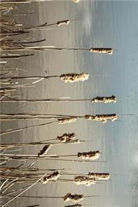 Cattails Bulrush and Reeds on the Shore of the Pond Journal