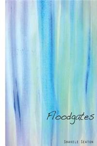 Floodgates