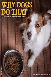 Why Dogs Do That 2021 Wall Calendar