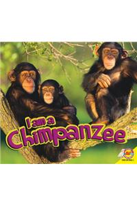 I Am a Chimpanzee