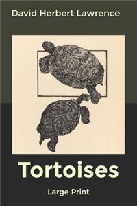 Tortoises
