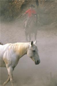 2020 Daily Planner Horse Photo Equine Cowboy Herding 388 Pages