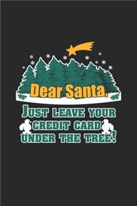 Dear Santa, Just Leave your Credit Card under the Tree!