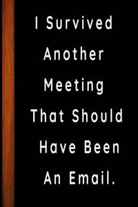 I survived another meeting that should have been an email