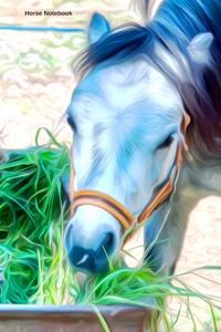 Horse Notebook
