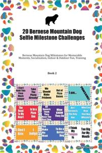 20 Bernese Mountain Dog Selfie Milestone Challenges