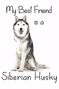 My best Friend is a Siberian Husky