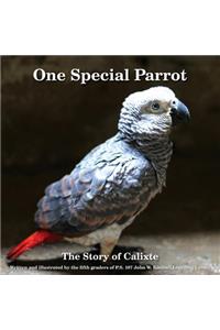 One Special Parrot