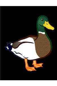Duck Sketchbook: Duck Bordered Sketchbook for Kids. Funny Duck Drawing Book for Boys and Girls (Blank Bordered Sketchbooks)150 Pages Large 8.5x11 Duck Sketch Paper Book