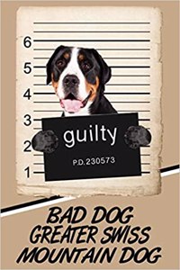 Bad Dog Greater Swiss Mountain Dog