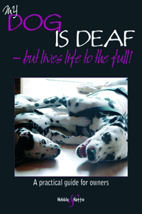 My Dog Is Deaf - But Lives Life to the Full!