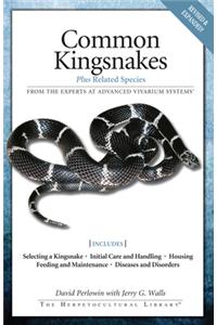 Common Kingsnakes