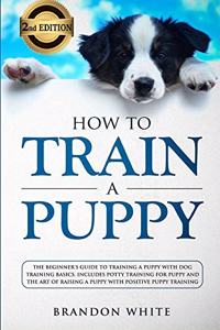 How to Train a Puppy