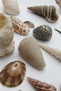 My Shell Collection Notebook