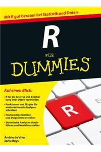 R für Dummies