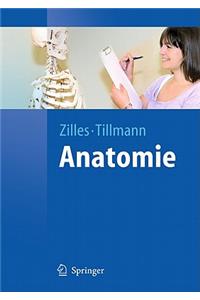 Anatomie