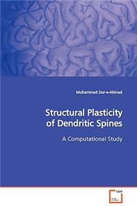 Structural Plasticity of Dendritic Spines