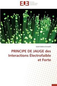 Principe de Jauge Des Interactions Électrofaible Et Forte