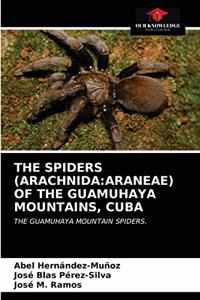 Spiders (Arachnida