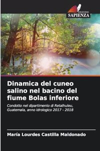 Dinamica del cuneo salino nel bacino del fiume Bolas inferiore