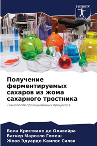 Получение ферментируемых сахаров из жом