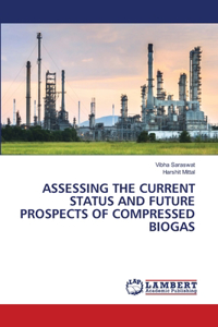 Assessing the Current Status and Future Prospects of Compressed Biogas