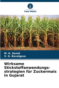 Wirksame Stickstoffanwendungs-strategien für Zuckermais in Gujarat