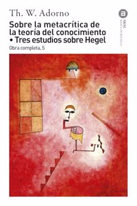 Sobre la metacritica de la teoria del conocimiento
