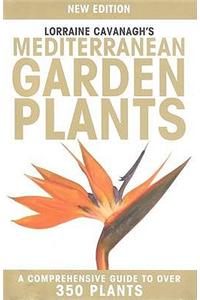 Lorraine Cavanagh's Mediterranean Garden Plants