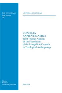 Consilia Sapientis Amici