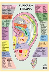 Auriculo Terapia -- A2