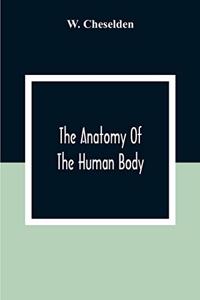 Anatomy Of The Human Body