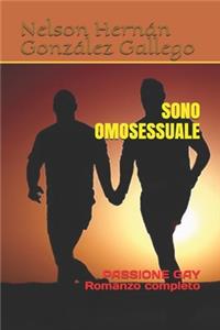 Sono Omosessuale