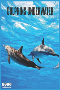 Dolphins Underwater 2021 Calendar