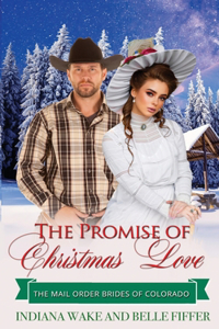 Promise of Christmas Love
