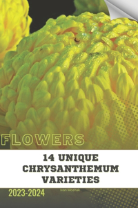 14 Unique Chrysanthemum Varieties