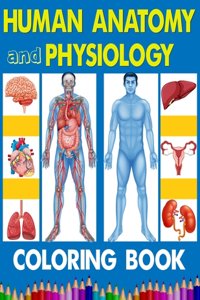 Human Anatomy and Physiology Coloring Book