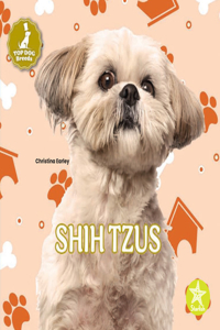 Shih Tzus